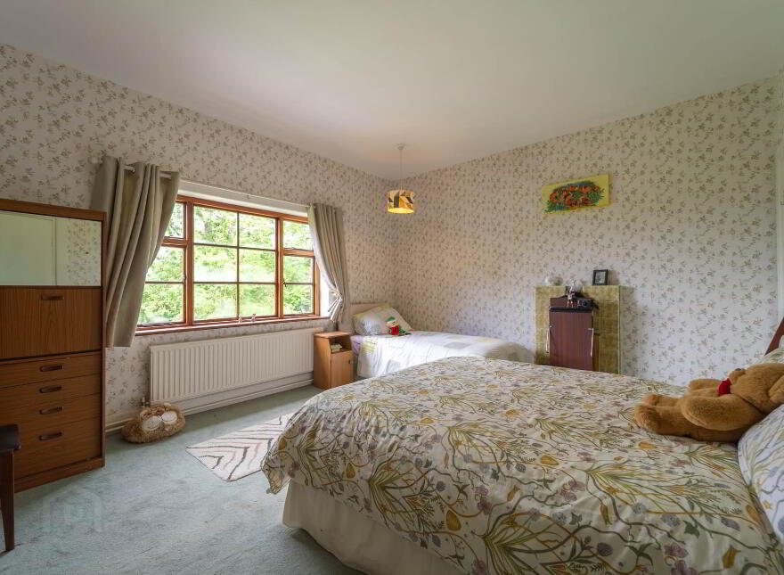Green Rushes, Mountmellick, R32NN80