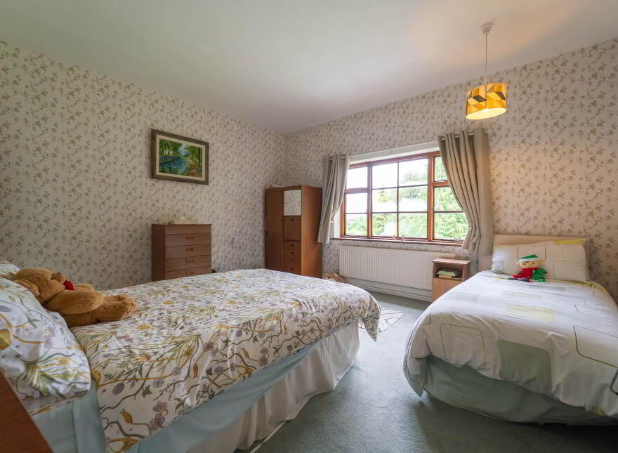 Green Rushes, Mountmellick, R32NN80