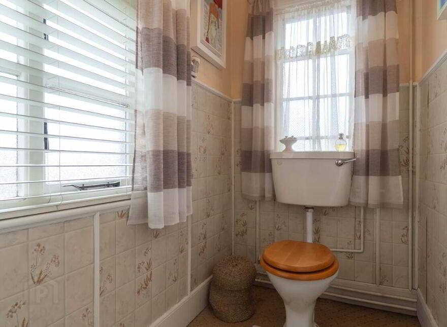 Green Rushes, Mountmellick, R32NN80