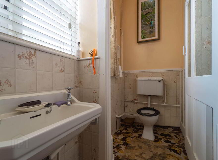 Green Rushes, Mountmellick, R32NN80
