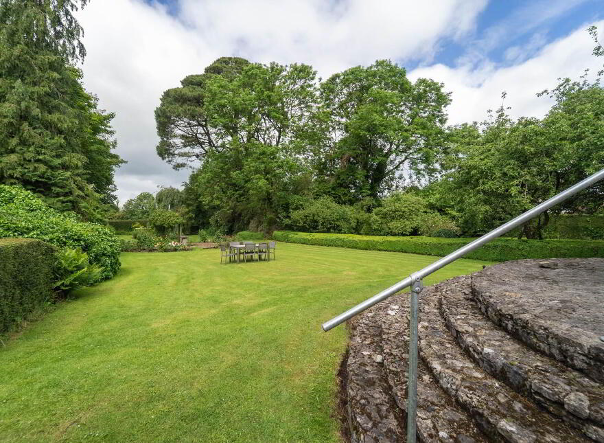 Green Rushes, Mountmellick, R32NN80