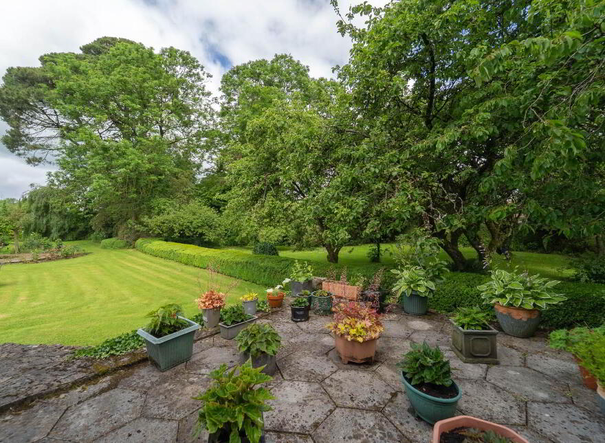Green Rushes, Mountmellick, R32NN80