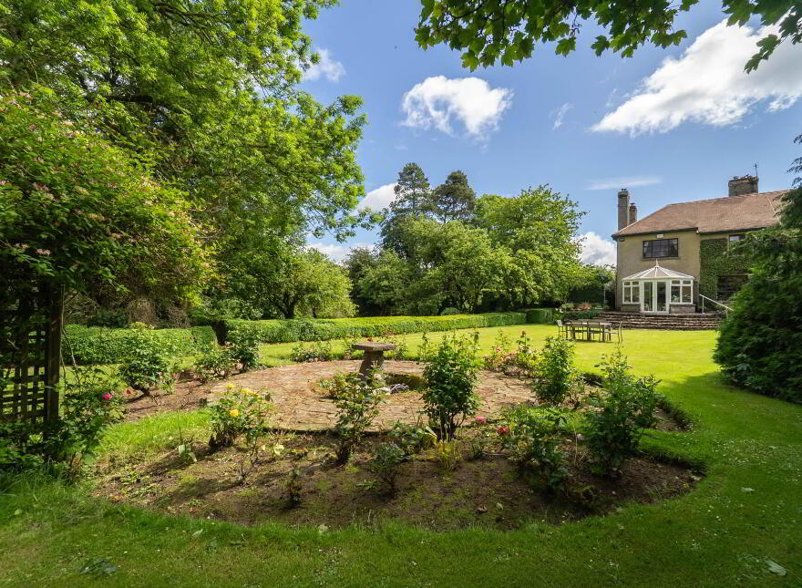 Green Rushes, Mountmellick, R32NN80
