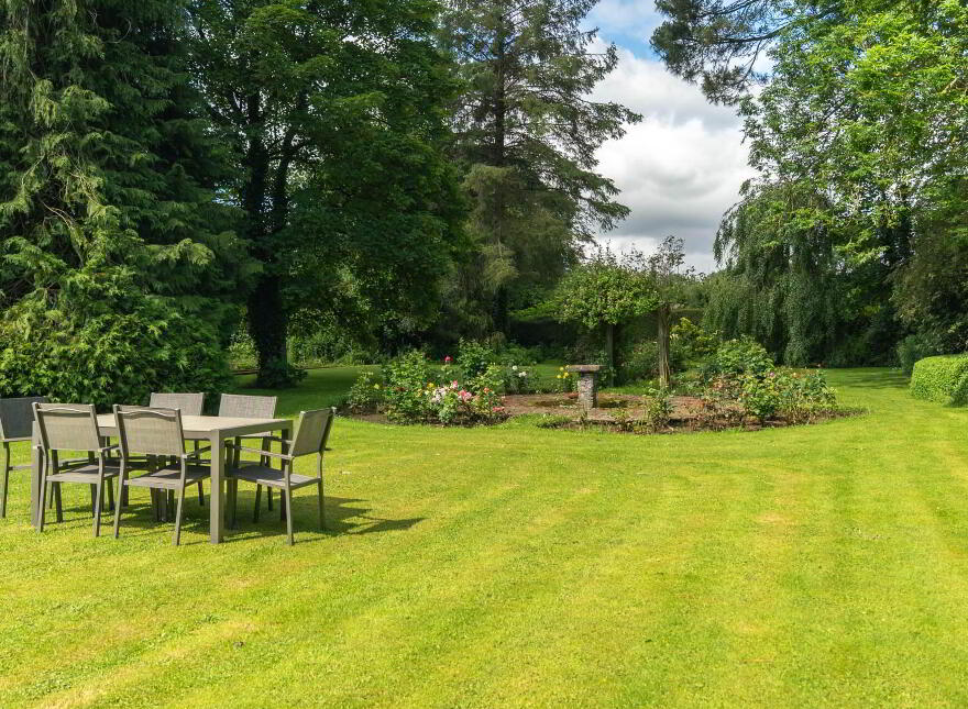 Green Rushes, Mountmellick, R32NN80