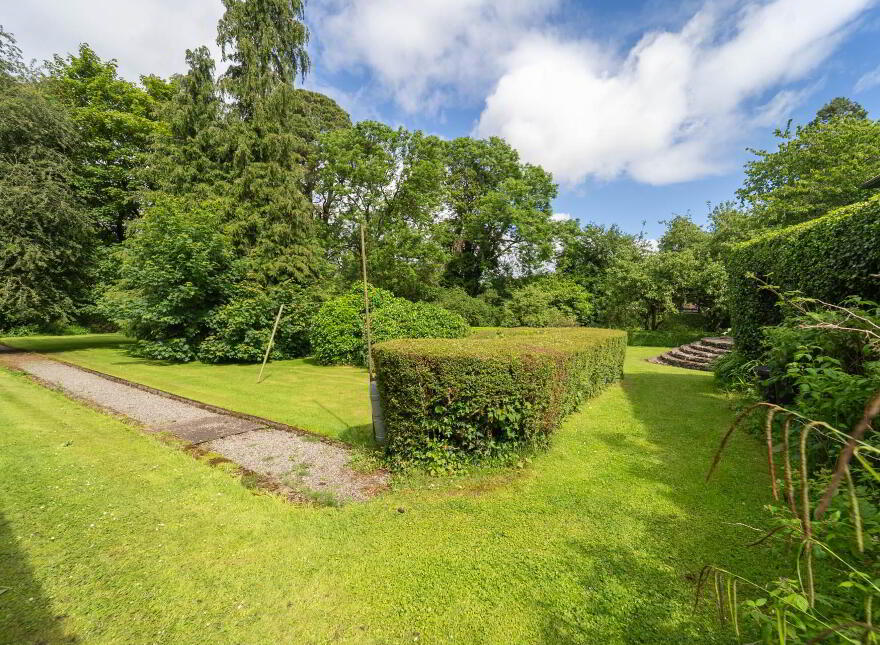 Green Rushes, Mountmellick, R32NN80