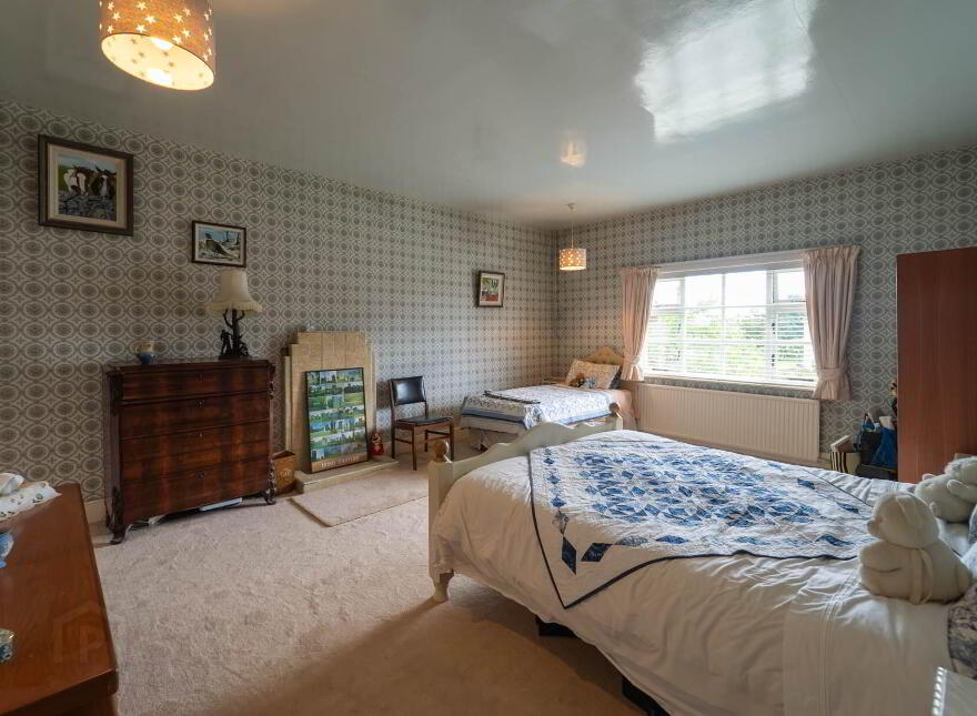 Green Rushes, Mountmellick, R32NN80