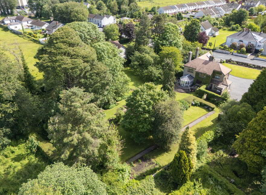 Green Rushes, Mountmellick, R32NN80