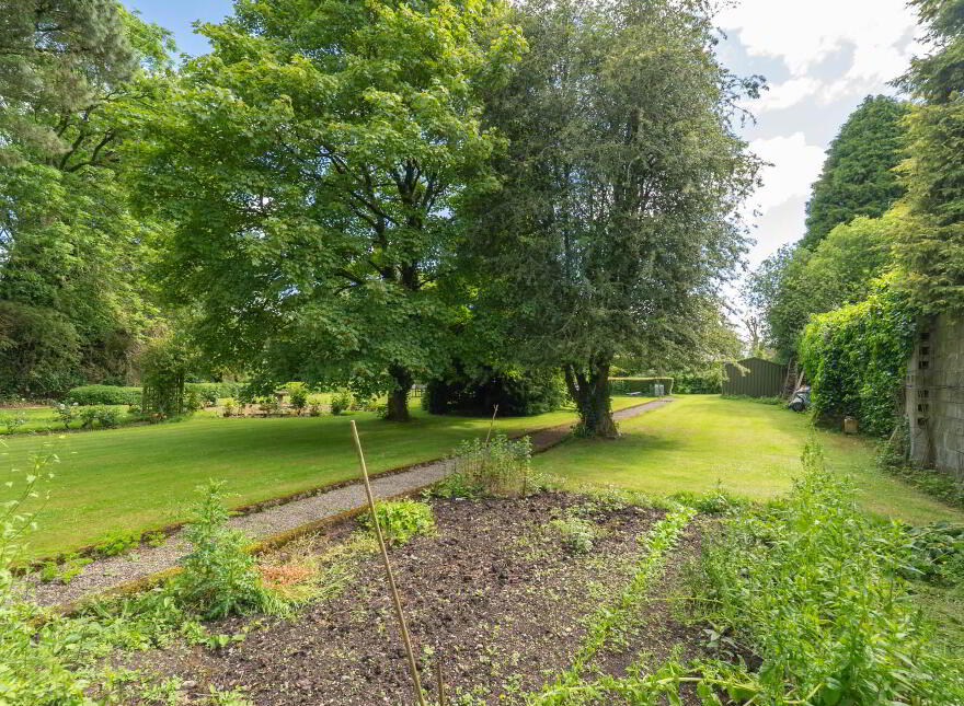 Green Rushes, Mountmellick, R32NN80