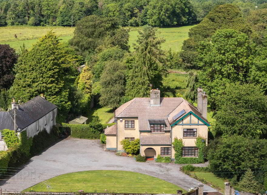 Green Rushes, Mountmellick, R32NN80