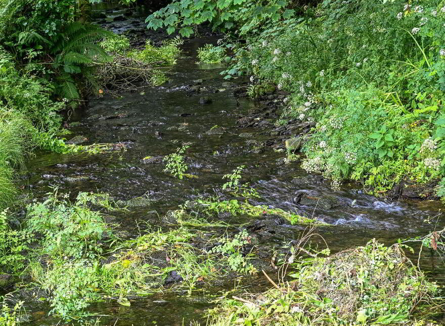 The Mill, Ballinluig West, Ballyfeard, P17KR40