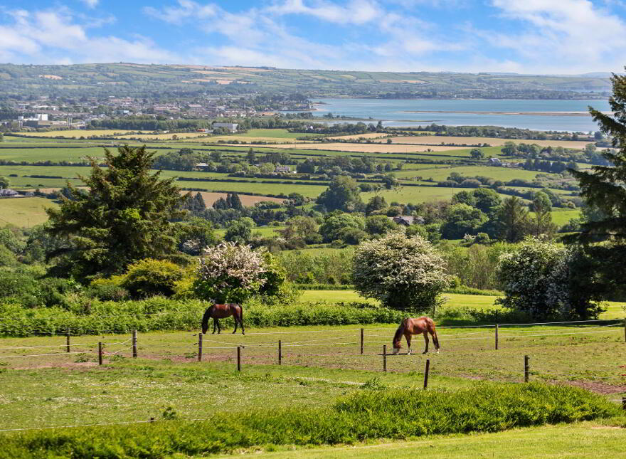 Hillside ( 15.91 Acres Aprx.), Glenbeg, Cappoquin, X35D732