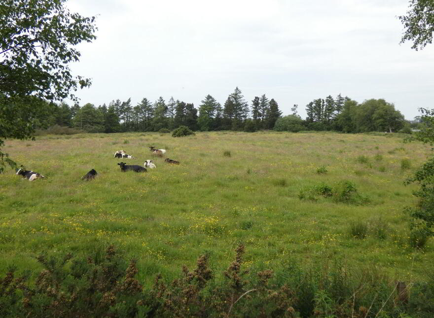 Land Adjacent To, 34 Ballindreen Road, Ballybogey, BT53 6PA