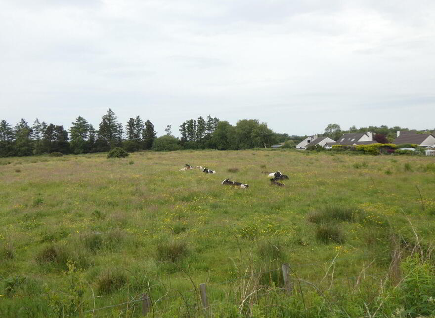 Land Adjacent To, 34 Ballindreen Road, Ballybogey, BT53 6PA