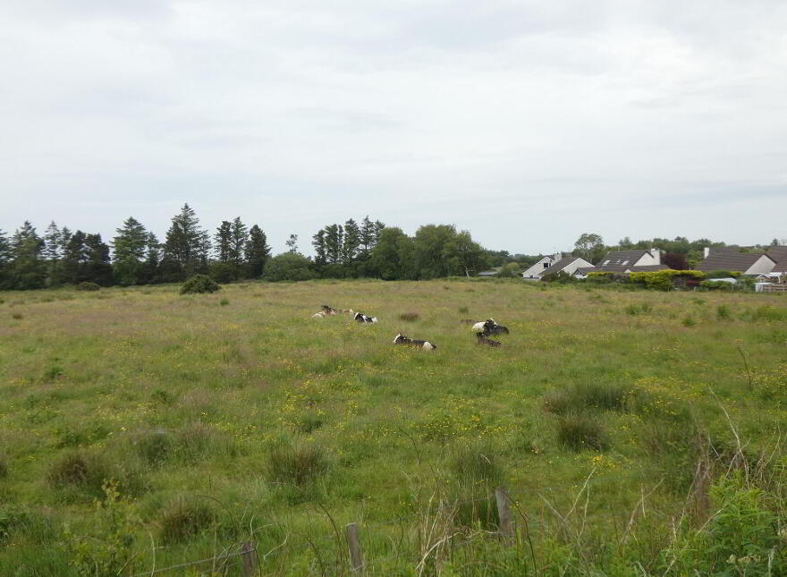 Land Adjacent To, 34 Ballindreen Road, Ballybogey, BT53 6PA
