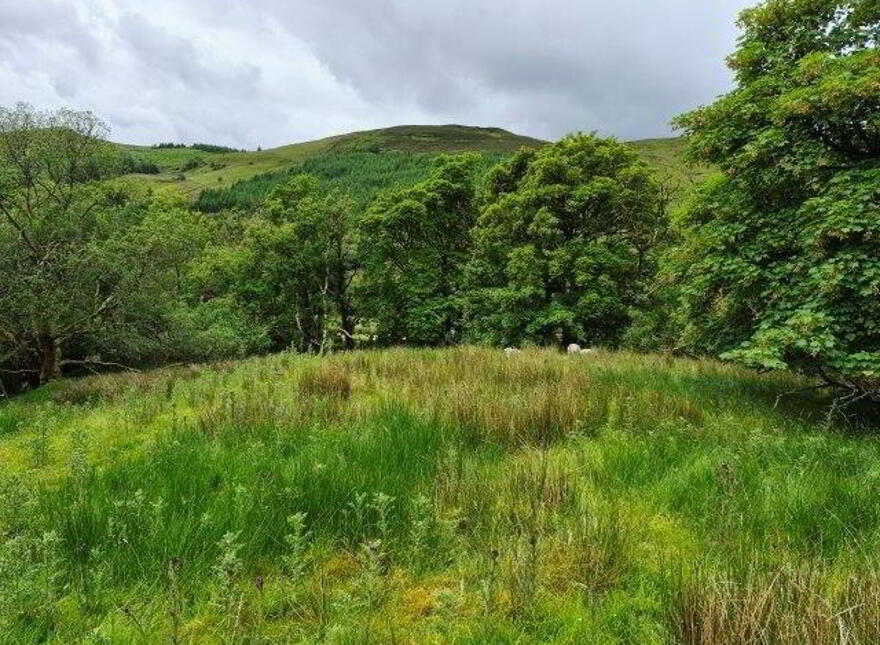 Rosies Cottage Conwal Lissiniska, Lissiniska, F91AY06