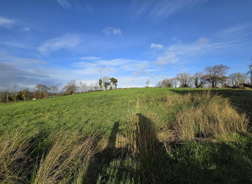 Land At, Ballycreggy Road, Ballymena, BT42 3HP