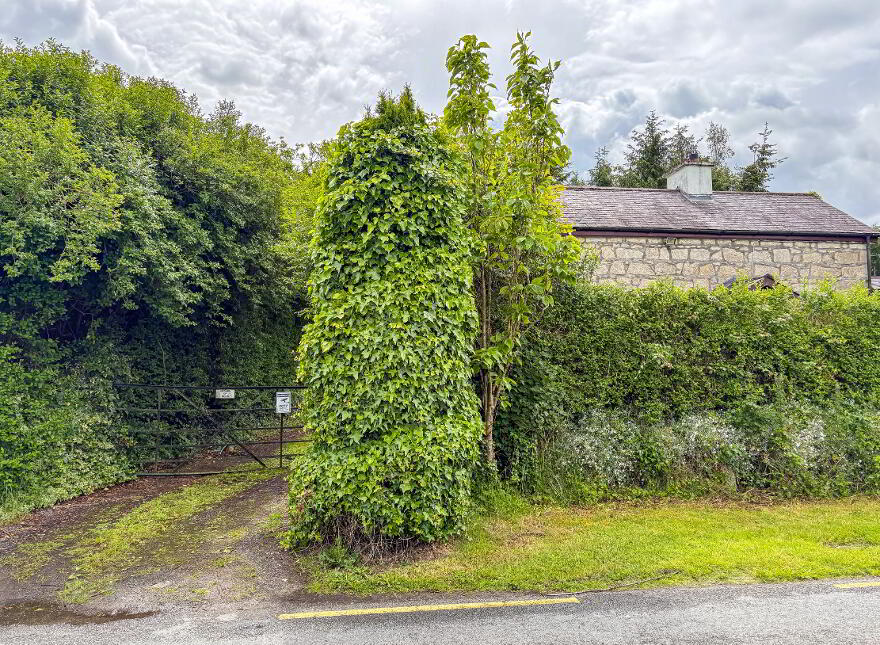Shangarry, Myshall, R21CH96