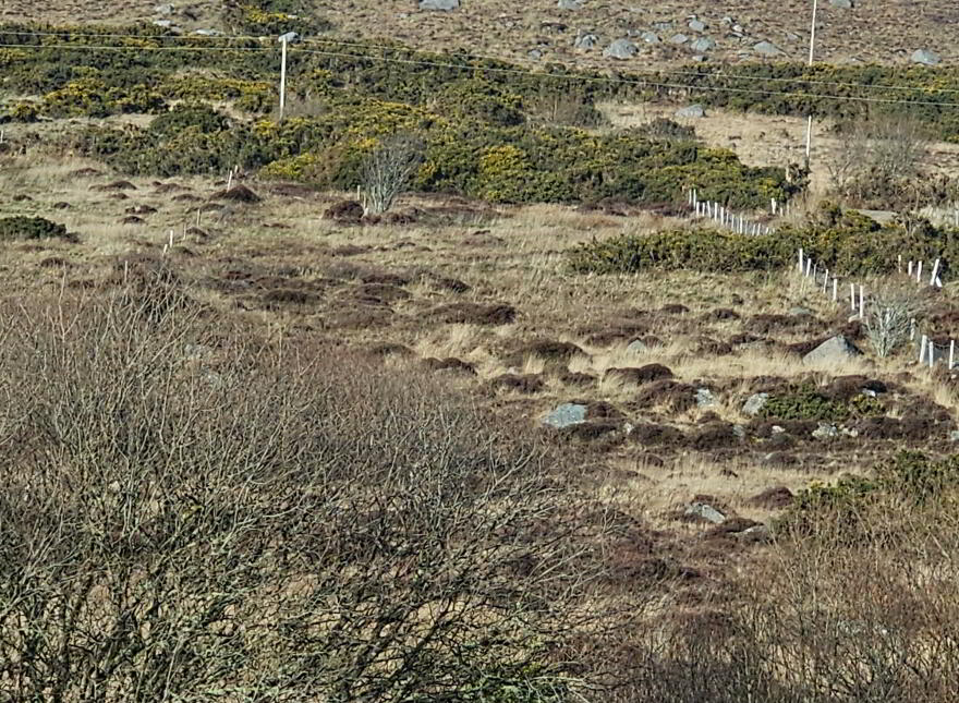 Land At Derryconnor, Gortahork