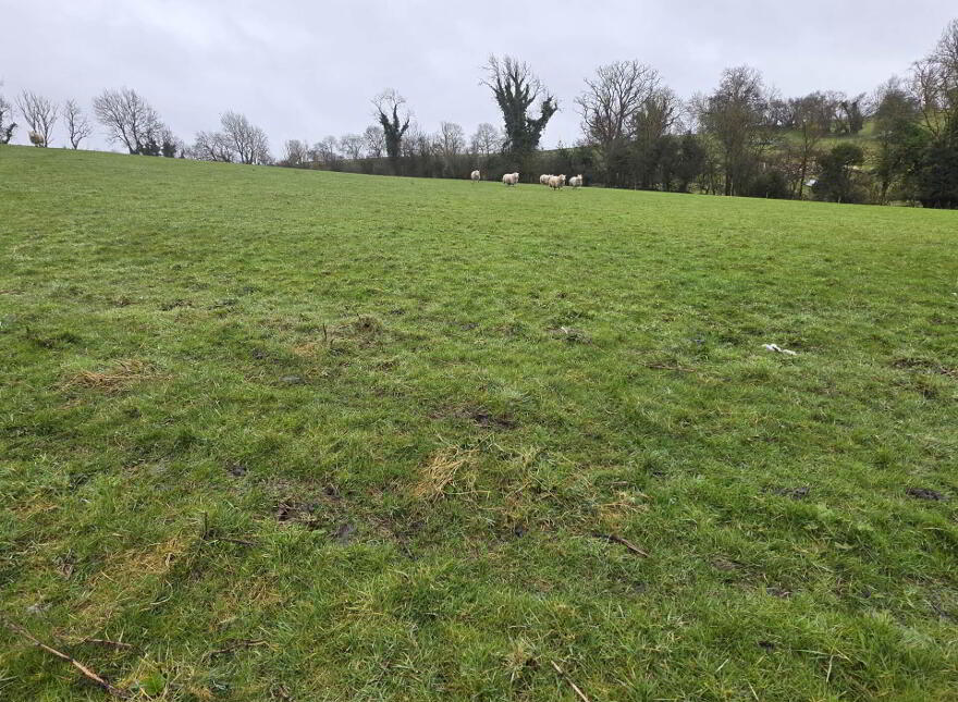 Circa 16 Acres, And Derelict Dwelling, Clabby Road, Tempo, BT94 3HA