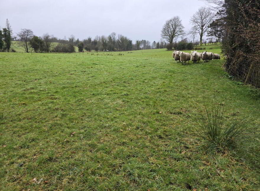 Circa 16 Acres, And Derelict Dwelling, Clabby Road, Tempo, BT94 3HA