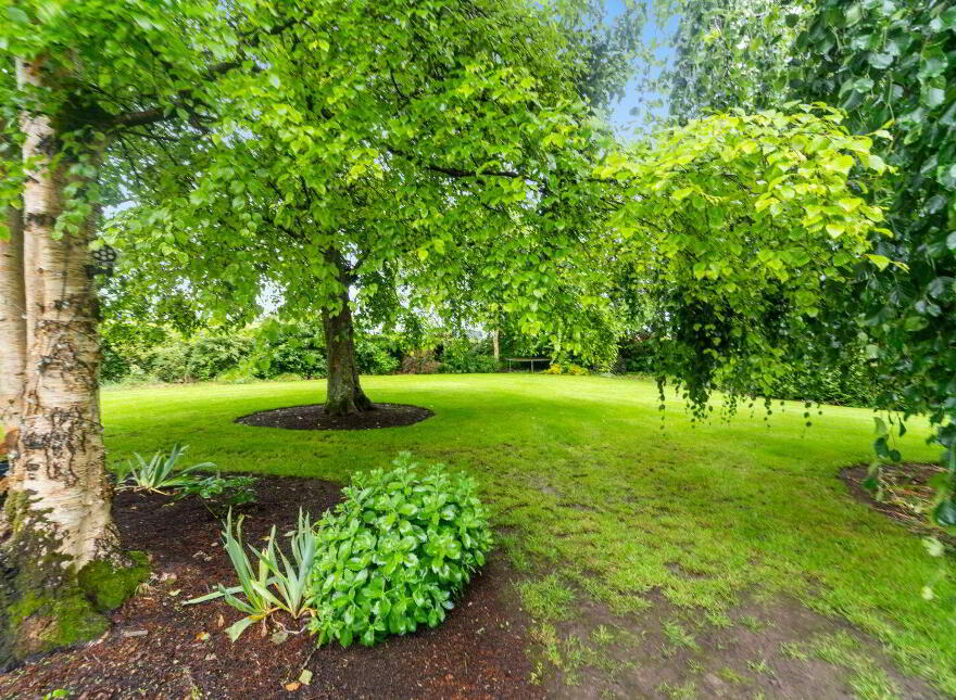 The Beeches, Mill Land, Parsonstown, A85T104