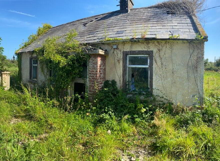 Mountblakeney, Kilmallock