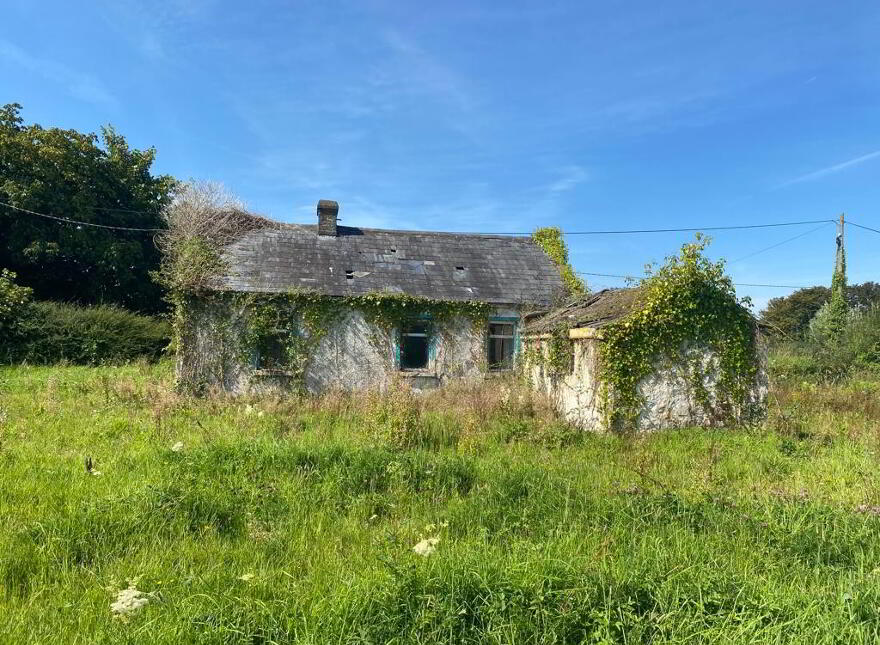 Mountblakeney, Kilmallock