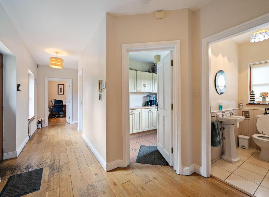 Kiseeti, Ballea Hill, Carrigaline, P43CN19