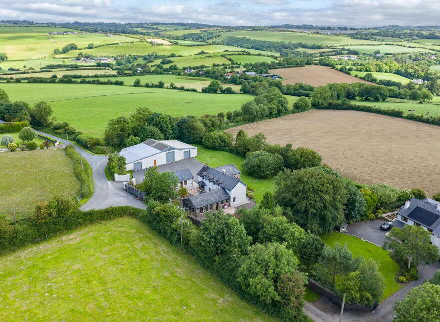 Kiseeti, Ballea Hill, Carrigaline, P43CN19