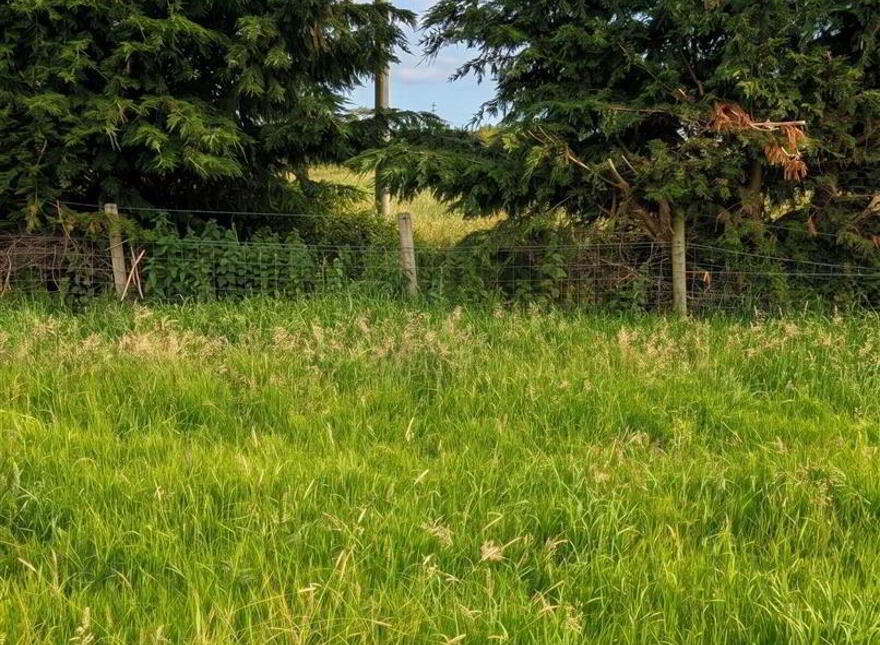 Site Adjacent To, 32 Lisdoonan Road, Saintfield, BT24 7HH
