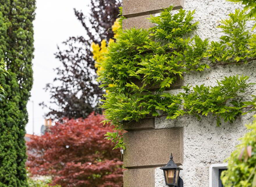 Sunnyside, Old Lucan Road, Palmerstown, D20AR22