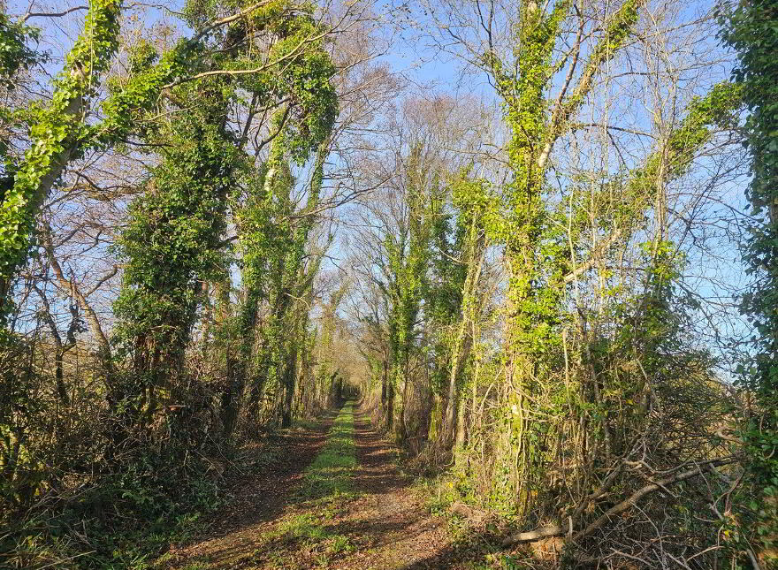 Doogarry Townland, Doogarry, Killeshandra, H12HX94