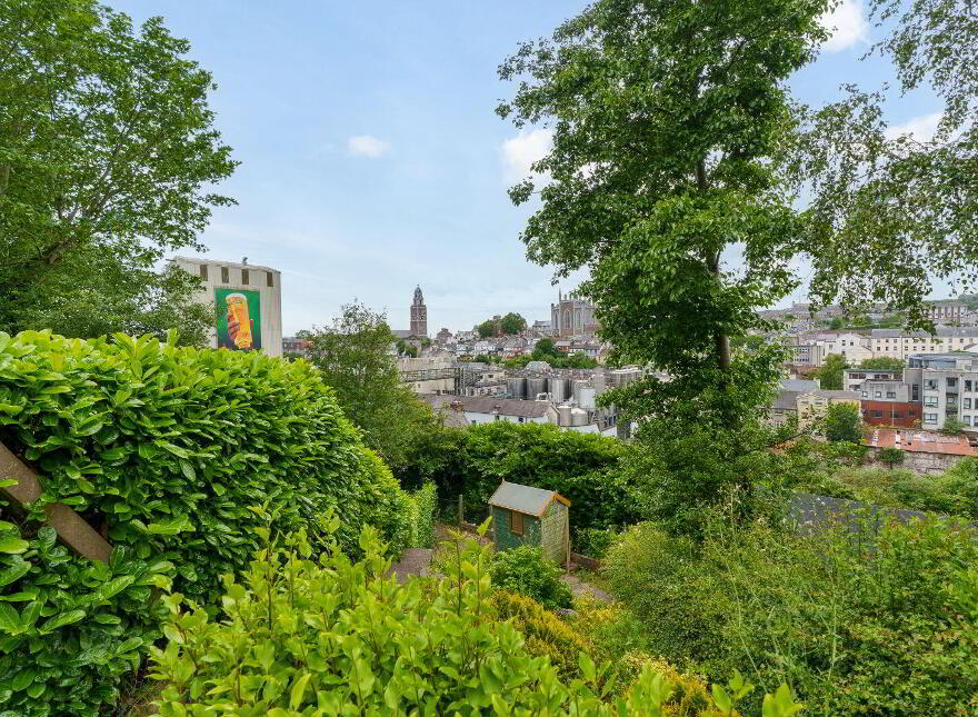 24 Shandon Court, Richmond Hill, St. Lukes, T23VWT4