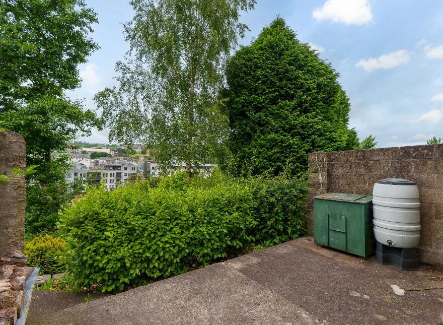 24 Shandon Court, Richmond Hill, St. Lukes, T23VWT4