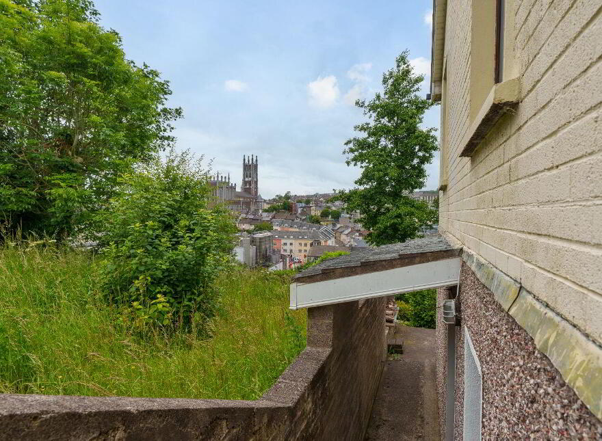 24 Shandon Court, Richmond Hill, St. Lukes, T23VWT4