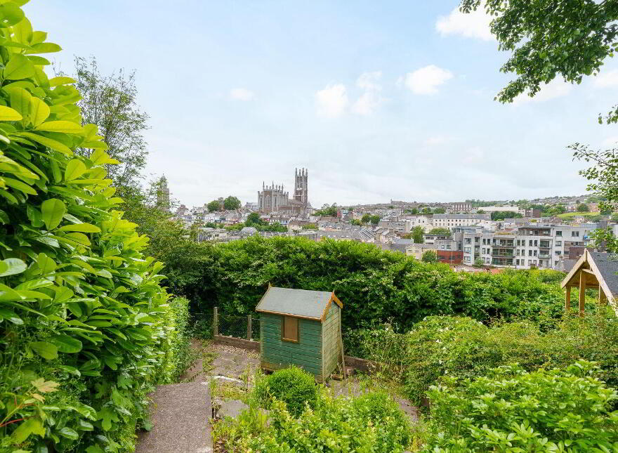 24 Shandon Court, Richmond Hill, St. Lukes, T23VWT4