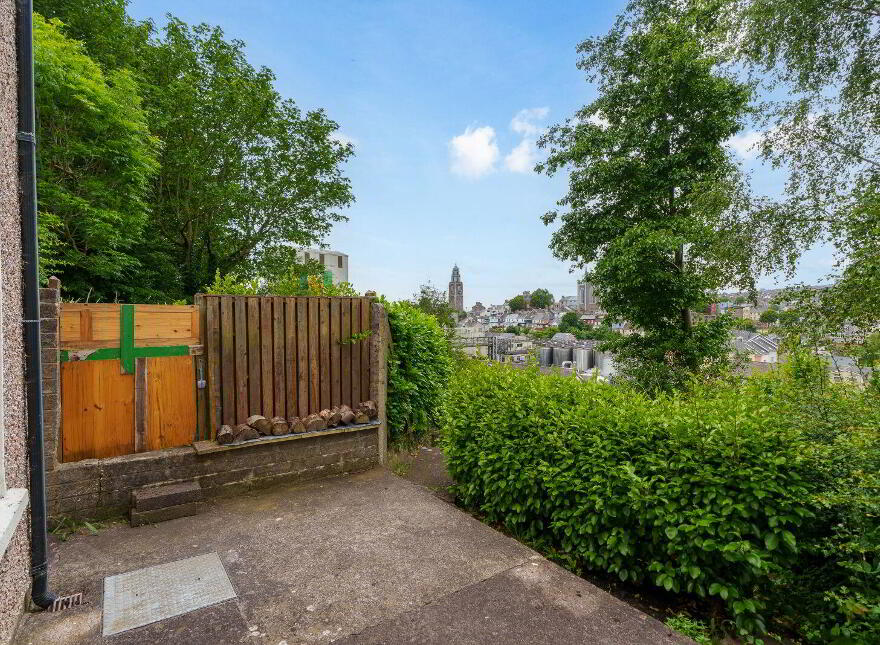 24 Shandon Court, Richmond Hill, St. Lukes, T23VWT4