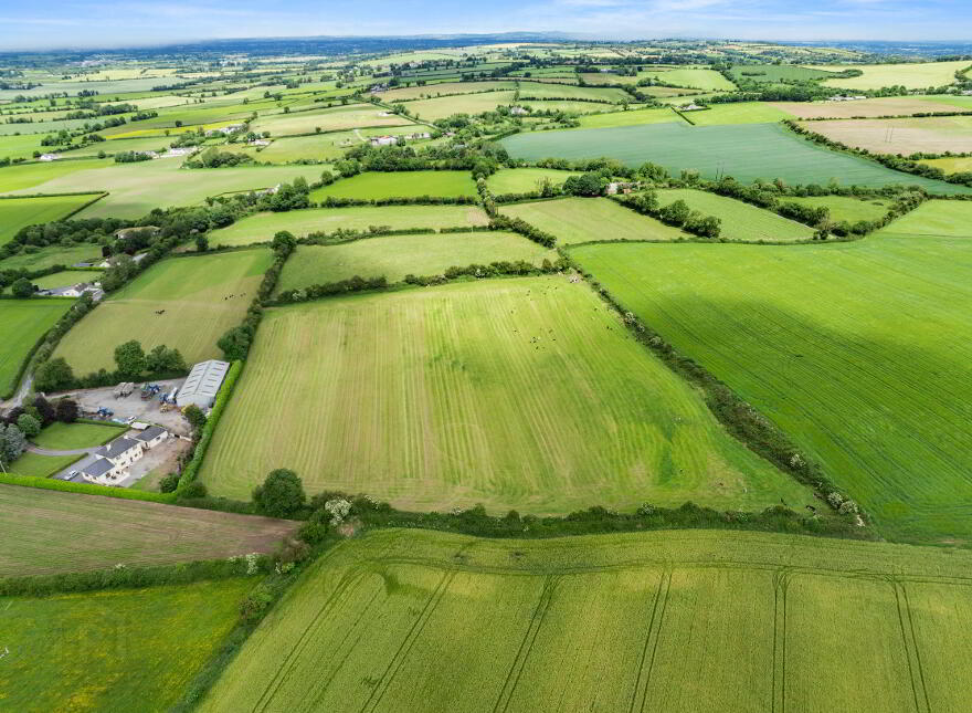 Ratheadan, Bagenalstown, R21DC79