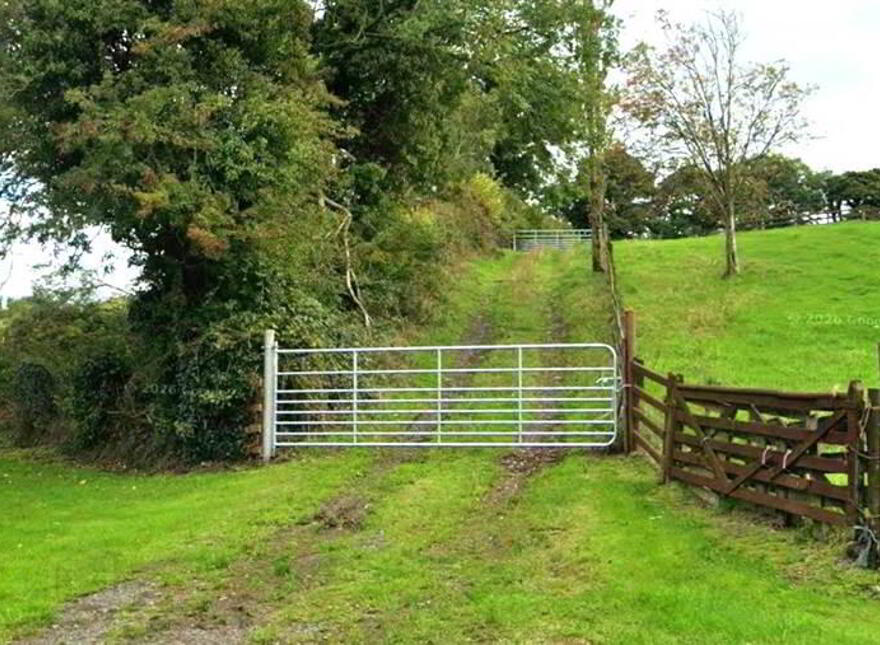 Agricultural Lands To The Rear Of 23, Mearne Road, Downpatrick, BT30 6SW