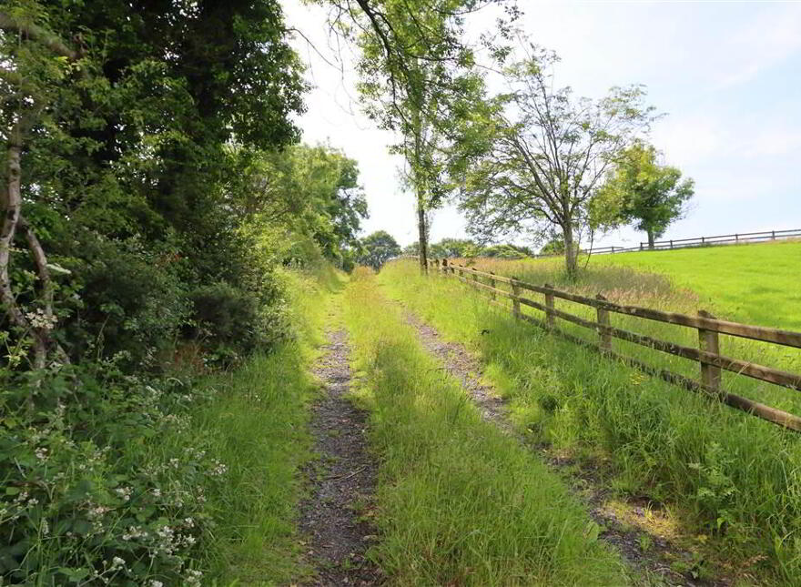 Agricultural Lands To The Rear Of 23, Mearne Road, Downpatrick, BT30 6SW