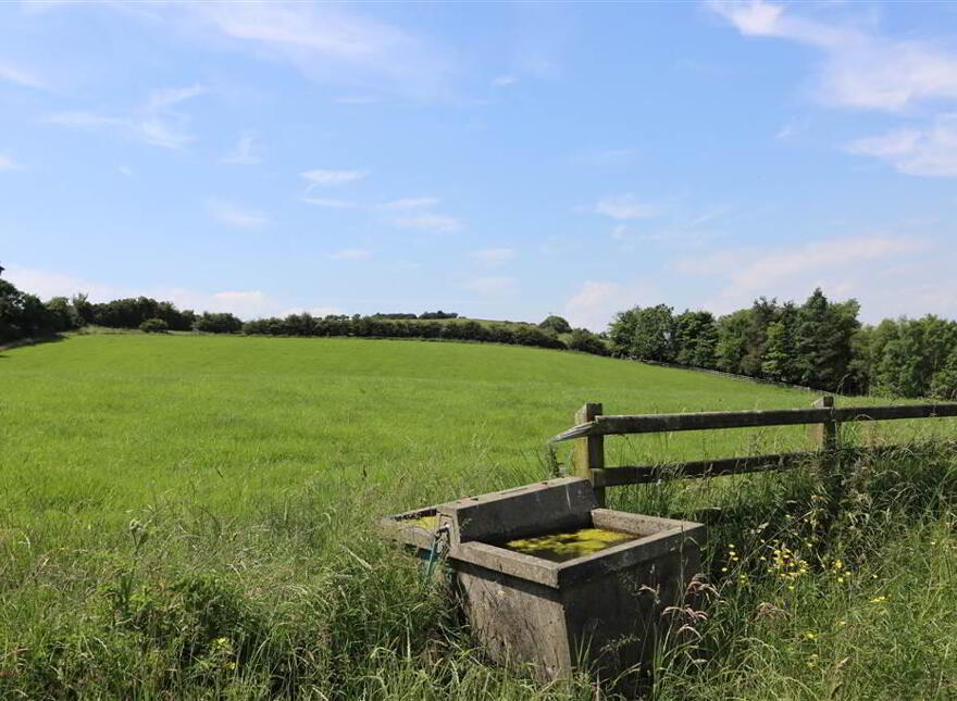 Agricultural Lands To The Rear Of 23, Mearne Road, Downpatrick, BT30 6SW