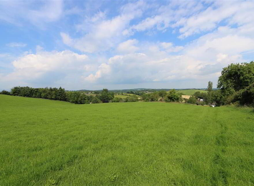 Agricultural Lands To The Rear Of 23, Mearne Road, Downpatrick, BT30 6SW
