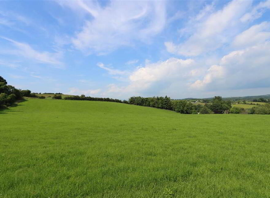 Agricultural Lands To The Rear Of 23, Mearne Road, Downpatrick, BT30 6SW