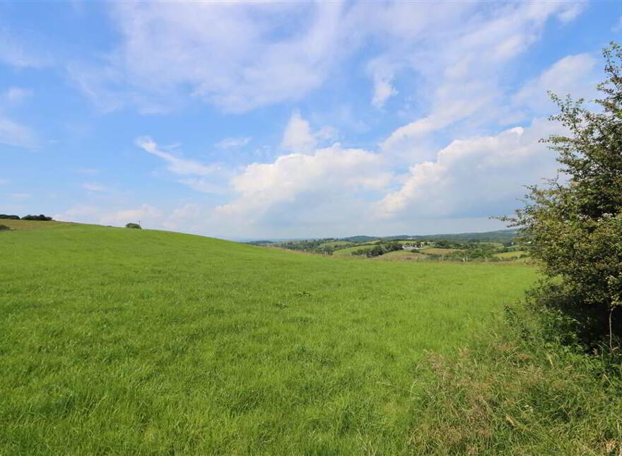 Agricultural Lands To The Rear Of 23, Mearne Road, Downpatrick, BT30 6SW