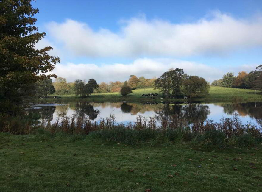 Stradbally, Castleconnell, V94VHX3