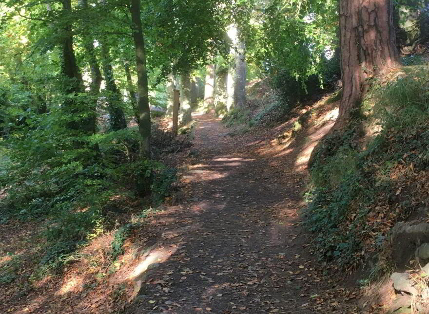 Stradbally, Castleconnell, V94VHX3