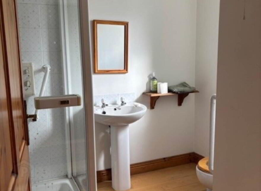 Stradbally, Castleconnell, V94VHX3