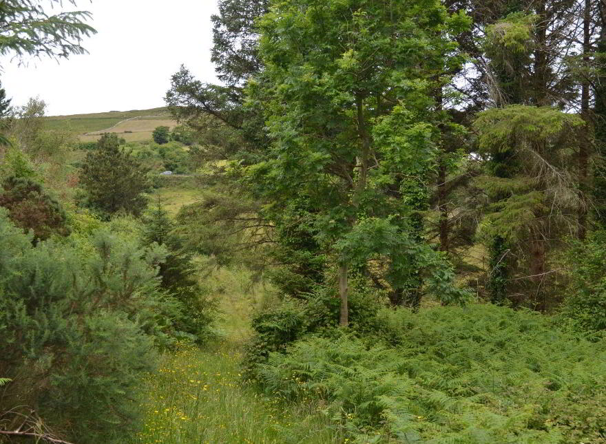 Keeldrum Middle, Gortahork, F92DP63