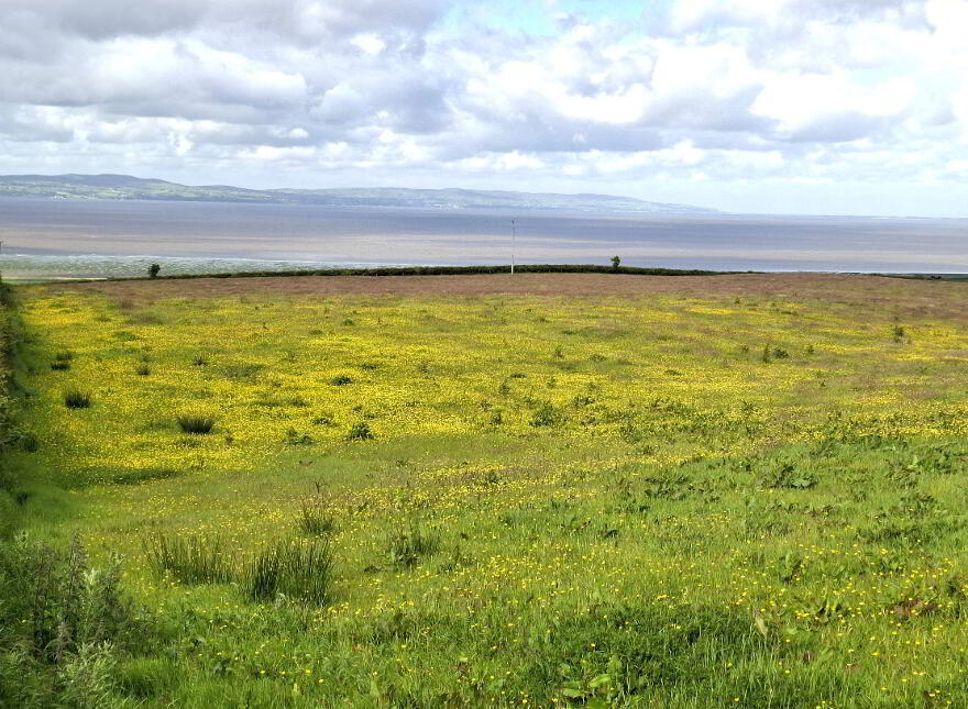 Highview, 51 Vale Road, Greysteel, Londonderry, BT47 3BL