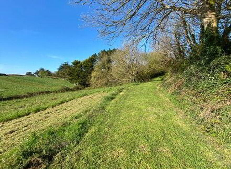 Cappaghglass, Ballydehob, P81N275